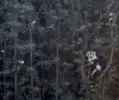 A Conspiracy of 6 Aye-aye Lemurs A Conspiracy of 6 Aye-aye Lemurs