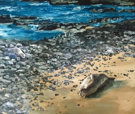 A Rookery of 5 Hawaiian Monk Seals A Rookery of 5 Hawaiian Monk Seals