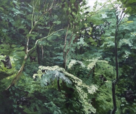 A Band of 5 Mountain Gorillas A Band of 5 Mountain Gorillas